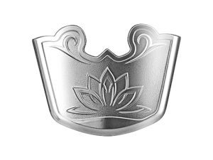 p chắn bùn sau zoom