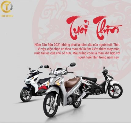 mẫu Copy 5 2