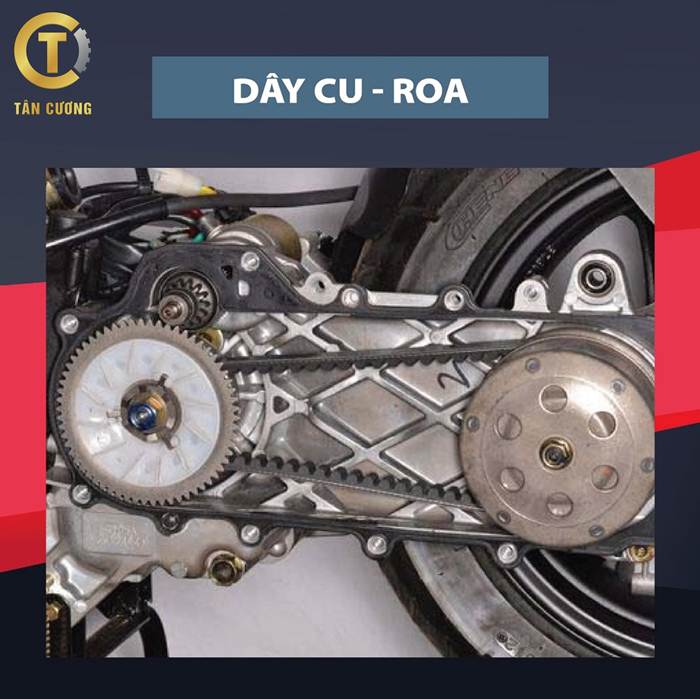 day cu roa
