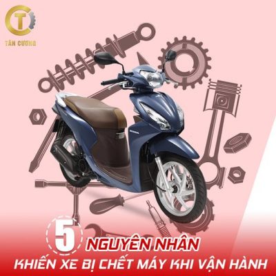 248930455 1347913085628910 3373509288109859257 n