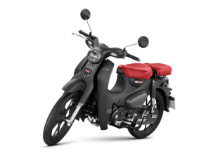 Xe Super Cup C125 den honda tan cuong 2