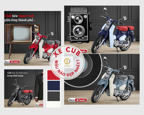 Xe cub co may mau