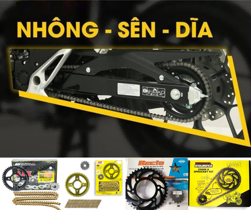 cac loai nhong sen dia tot nhat hien nay