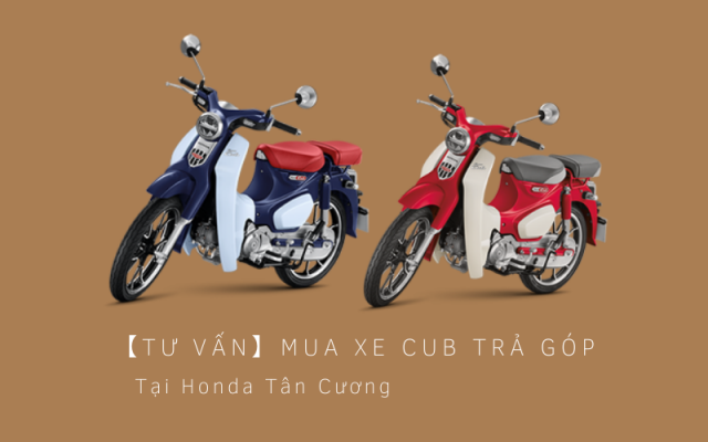 noi ban xe cub tra gop uy tin