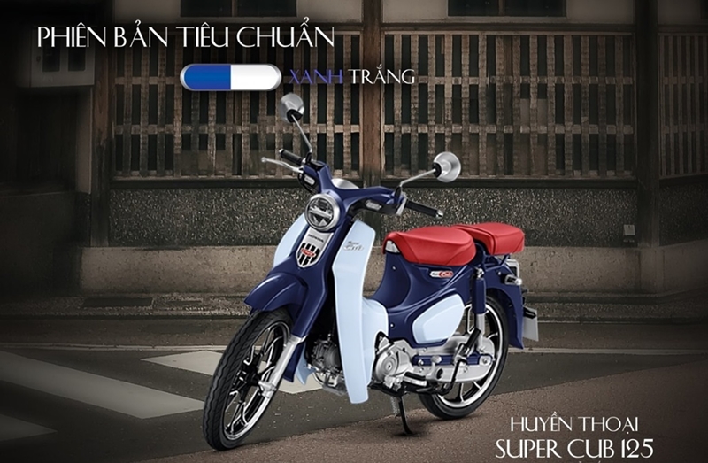 xanh cub mau xanh dam trang xanh cub mau xanh dam trang