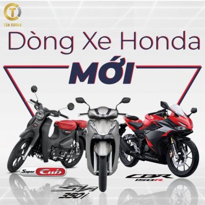 273549649 1418422508577967 1048747334396728403 n