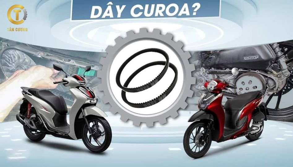 DÂY CUROA+HONDA TÂN CƯƠNG